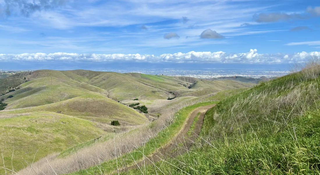 Green rolling hills under a blue sky in Southern California